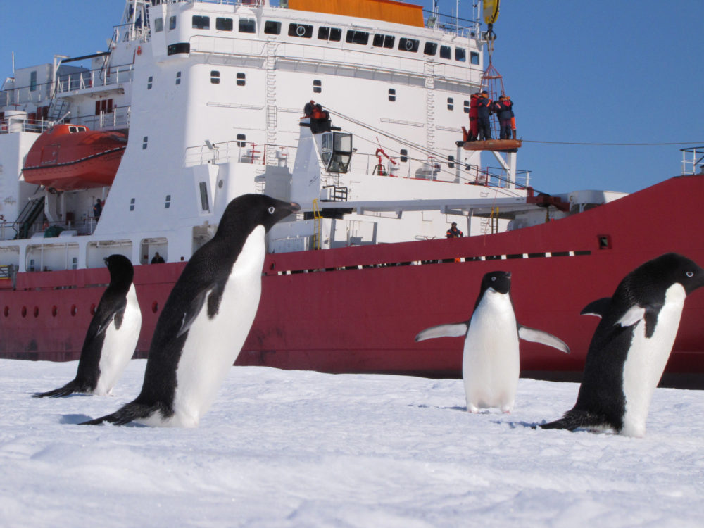 A RED LETTER DAY in Antarctica 