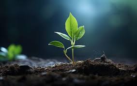 2 From Grief to Growth; A Widowhood Journey; Angels and Special Moments 2 From Grief to Growth; A Widowhood Journey; Angels and Special Moments