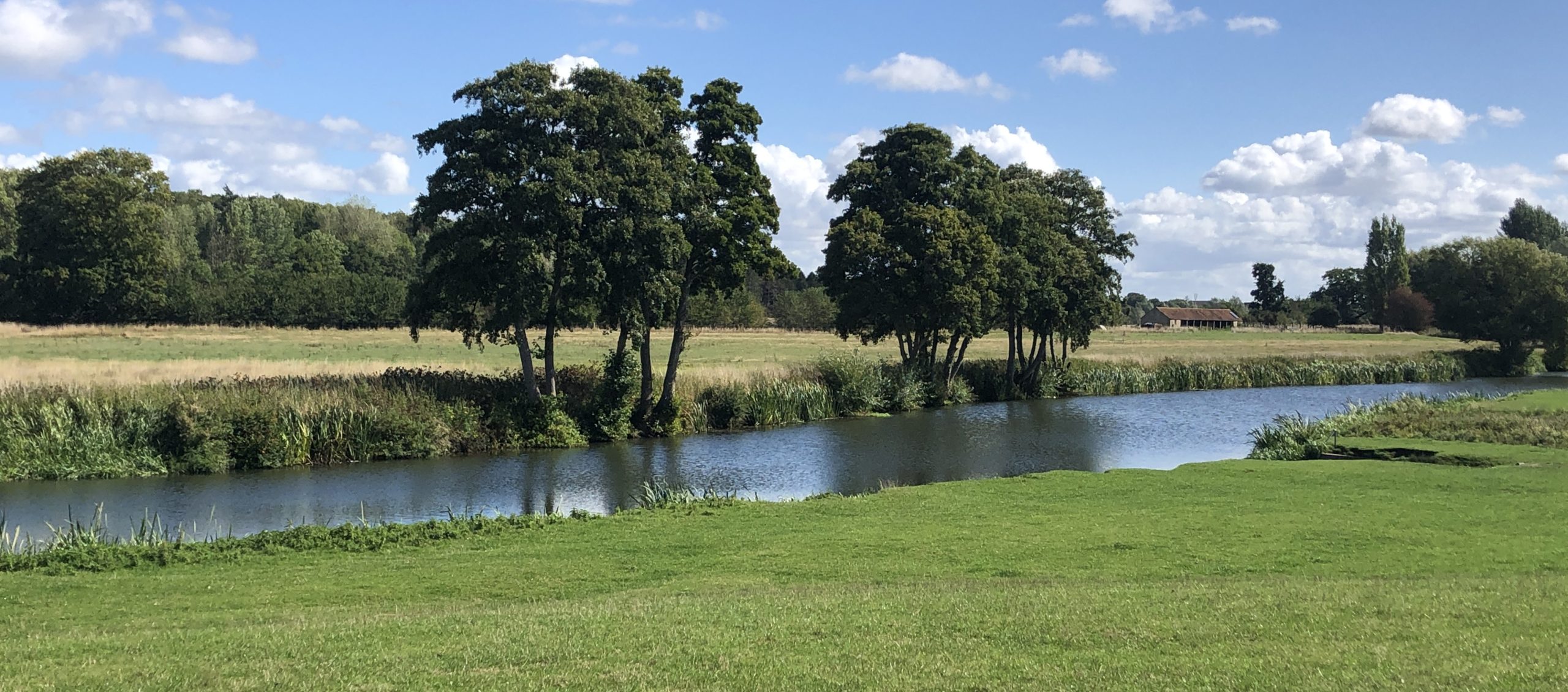 5 From Grief to Growth; A Widowhood Journey; Looking back on the year